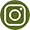 Instagram button